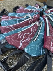 Ledvinka - kapsa na mobil - Kolekce MY DREAM PAINT