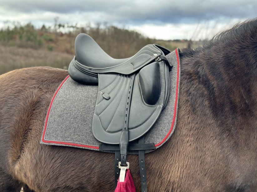 Podsedlová deka z vlněného filcu -  5 - Barva filc 5 mm: tmavě zelená, Typ: drezurní, Zápinky horní: zápinky dlouhé (za podbřšník)