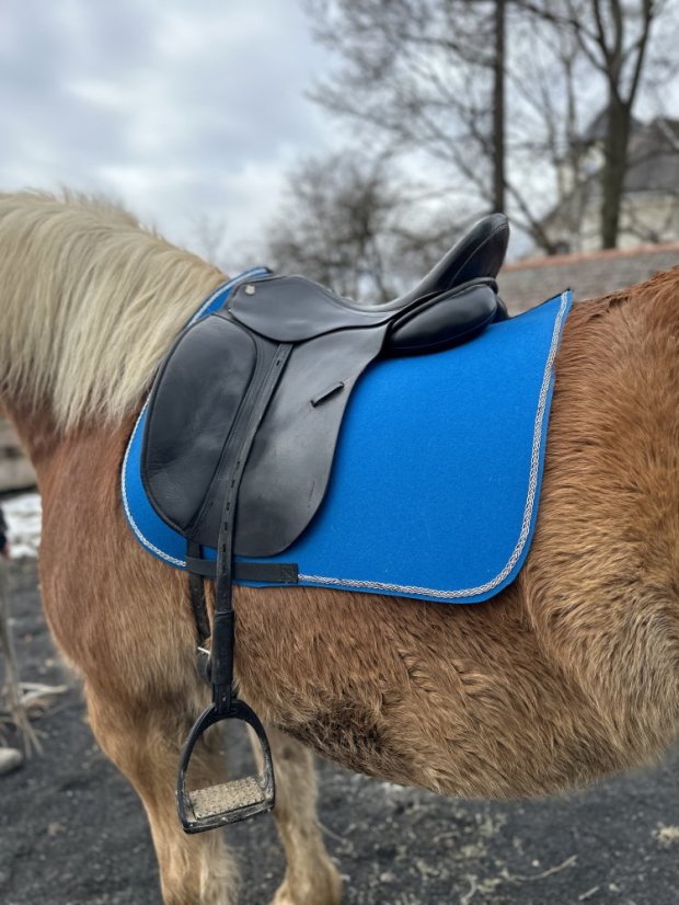 Podsedlová deka z vlněného filcu -  5 - Barva filc 5 mm: bílá, Typ: skoková, Zápinky horní: zápinky dlouhé (za podbřšník)