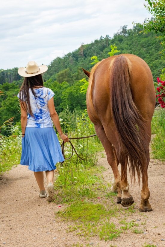 Tričko dámské - bambus BATIK - Velikost: S, Barva BATIKA: černo - červená