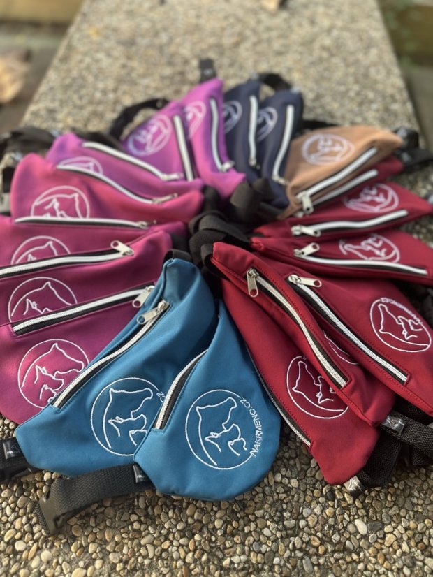 Ledvinka - kapsa na mobil - Barva softshell: tmavě modrá - večernice (č.126), Popruh ledvinka: PEVNÝ