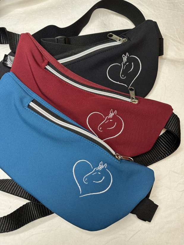 Ledvinka - kapsa na mobil - Barva softshell: tmavě modrá - večernice (č.126), Popruh ledvinka: PEVNÝ