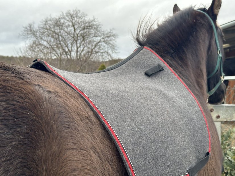 Podsedlová deka z vlněného filcu -  5 - Barva filc 5 mm: bílá, Typ: skoková, Zápinky horní: zápinky dlouhé (za podbřšník)