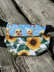 Ledvinka - kapsa na mobil