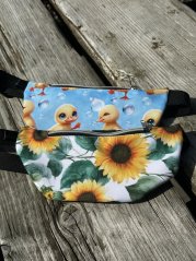 Ledvinka - kapsa na mobil