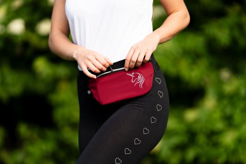 Ledvinka - kapsa na mobil - Barva softshell: tmavě modrá - večernice (č.126), Popruh ledvinka: PEVNÝ