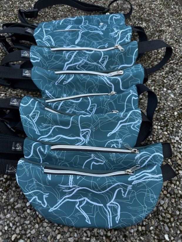 Ledvinka - kapsa na mobil - Kolekce MY DREAM PAINT