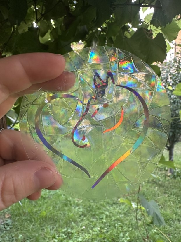 Lapač slunce - suncatcher - Barva obrázku: hologram, Obrázek: silueta koně