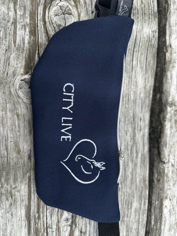 Ledvinka - kapsa na mobil - Barva softshell: tmavě modrá - večernice (č.126), Popruh ledvinka: PEVNÝ